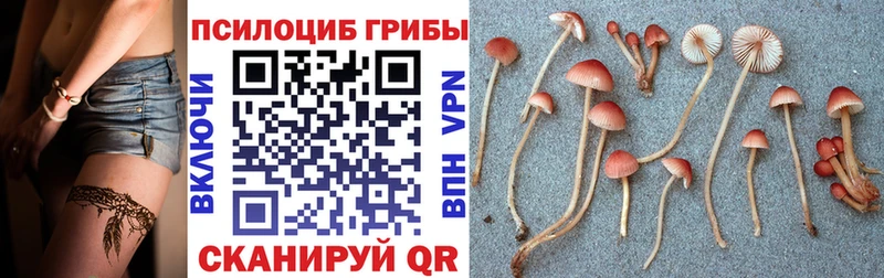 где найти   Лянтор  Псилоцибиновые грибы мухоморы 