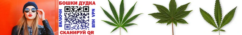 сколько стоит  Лянтор  Конопля Bruce Banner 